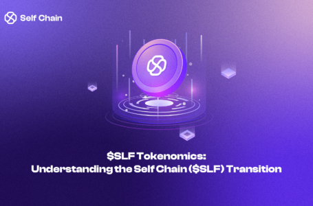 Self Chain Crypto Review: All To Know About