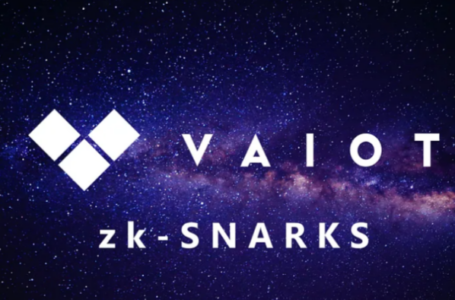 Vaiot Crypto Review: All To Know About