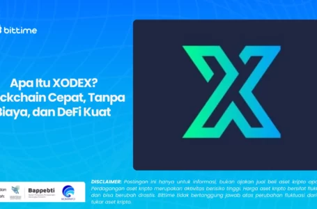 Xodex Crypto Review: All To Know About