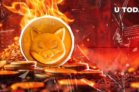 Shiba Inu’s Burn Rate Skyrockets 880% as 320 Million SHIB Vanish: Details