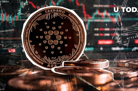 What’s Wrong With Cardano? ADA Community Debates