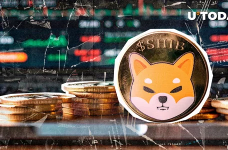 SHIB Exec Teases Strategy to Address FUD