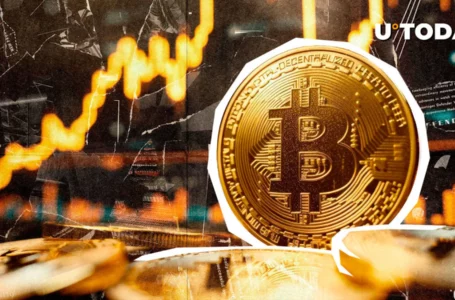 12 Years Later: Early Bitcoin (BTC) Holders Strike Gold
