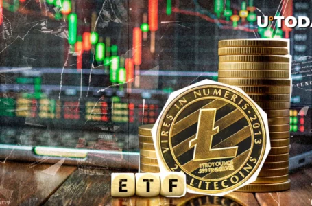 Litecoin ETF Hype Triggers Unexpected Inflow, What Next?