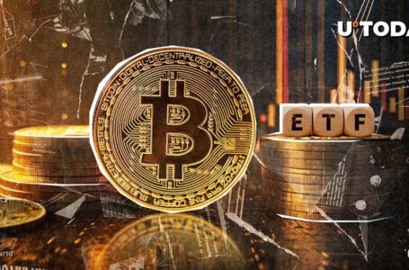 Bitcoin ETFs Surpass $90 Billion in Total Assets