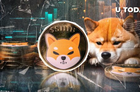 Historical Shiba Inu Post Issued by Team Revealing First SHIB Logo Dog