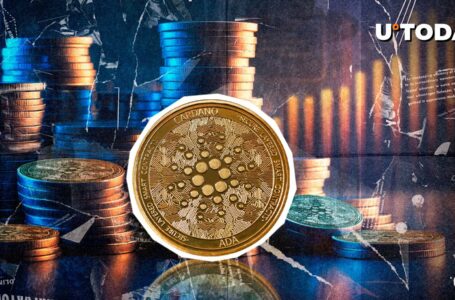 Cardano Conducts Major Protocol Update, See What Changed