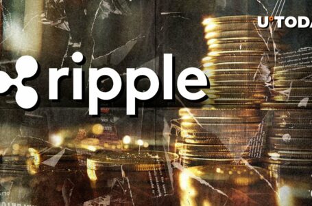 Ripple Labs in Academia, New Data Shows Diversity