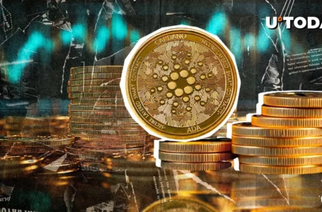 Cardano (ADA) Skyrocketing 393% in Netflows as Whales Commit to Fresh Move