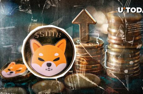 Shiba Inu (SHIB) Rockets 1,559% in Whale Activity as Bulls Take Charge