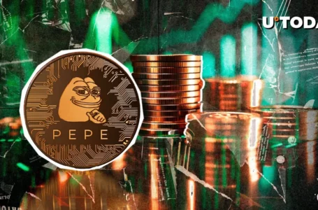 PEPE Whale Inflow Skyrockets 4,479% in 24 Hours: What’s Next?