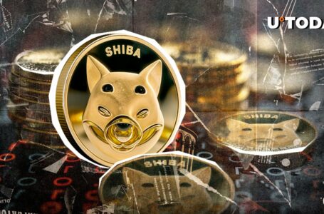 685% Liquidations Imbalance Stuns Shiba Inu (SHIB) Amid $500 Million Crypto Bloodbath