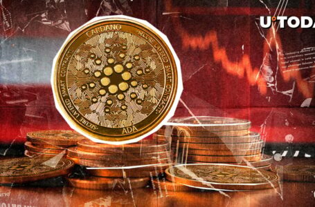 Major Sign of Distress Spotted in Cardano (ADA) Rally