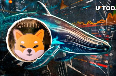 Shiba Inu (SHIB) Whales’ Strategy Revealed: Here’s What Major Investors Are Doing Right Now
