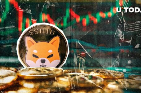 55 Trillion Shiba Inu (SHIB) to Be Activated