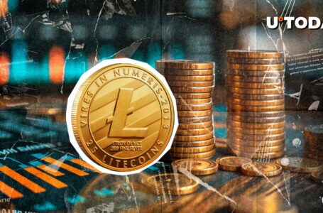 407,510 Litecoin (LTC) in One Sweep, What’s Happening?