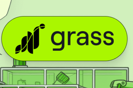 GRASS Crypto Review: All To Know About