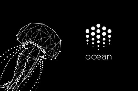 Ocean Protocol Review: All To Know About