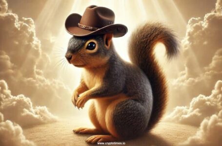 Peanut the Squirrel Crypto Review: All To Know About