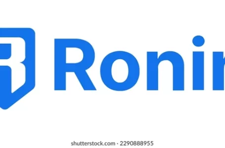 Ronin (RON) Review: All To Know About