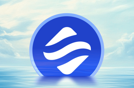Swell Network Crypto Review: All To Know About
