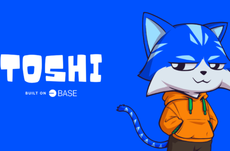 Toshi Crypto Review: All To Know ABout