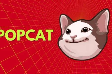Popcat Crypto Review: All To Know About