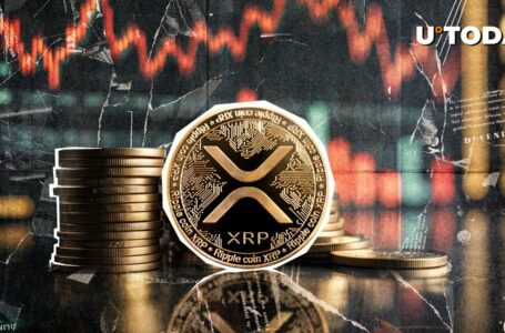 Top Crypto Trader Issues Very Controversial XRP Price Outlook