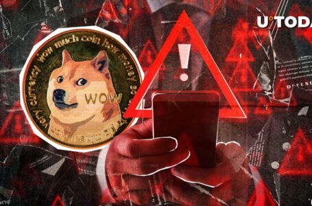 Dogecoin Developer Issues Crucial Warning to Community