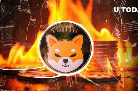 Is Shiba Inu (SHIB) Ready for Next Major Rally?