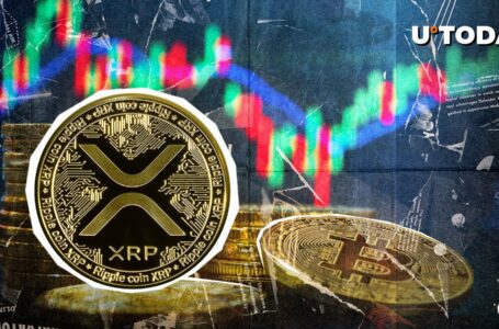 XRP vs. Bitcoin: Expert Trader Breaks Silence on What Happened in 2017