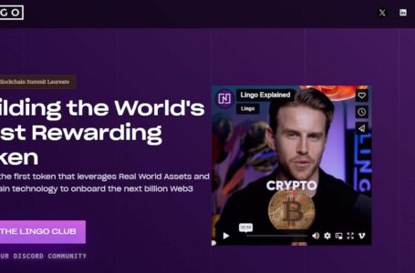 Lingo Crypto Review: All To Know About