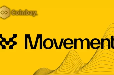 Movement Crypto Review: All To Know About