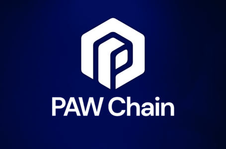 Paw Crypto Review: All To Know About