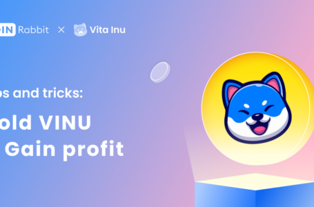 Vita Inu coin (VINU) Review: All To Know About