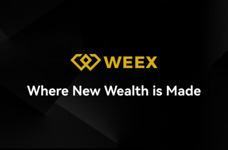Weex Exchange Review: All To Know About