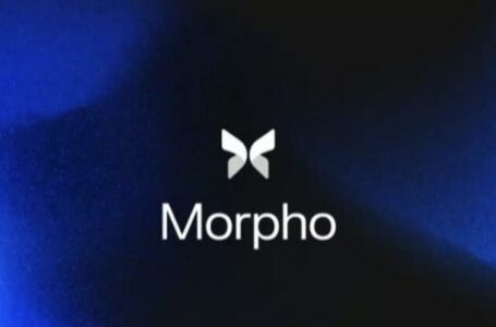 Morpho Crypto Review: All To Know About