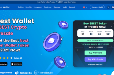 Best Wallet Review 2025 Review: All To Know About